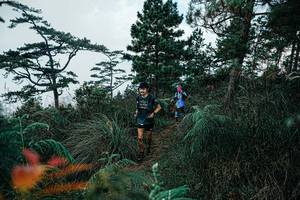 BIB: 
                            <button type="button" onclick="openModal(25260719)" class="btn btn-primary btn-sm float-right btn-popup" data-toggle="modal" data-target=".modal-high-quality">
                        <i class="fas fa-shopping-cart"></i> Add to Cart
                    </button>
                                            <button type="button" onclick="isThisMe(25260719, true)" class="btn btn-success btn-sm float-right btn-popup btn-isme hidden" data-toggle="tooltip" data-placement="bottom" title="นี่คือรูปของคุณใช่ไหม คลิกที่นี่เพื่อเอาเข้าอัลบั้ม">
                        <i class="fas fa-plus"></i> Add to album
                    </button>
                    <button type="button" onclick="isThisMe(25260719, false)" class="btn btn-warning btn-sm float-right btn-popup btn-isnotme hidden">
                        <i class="fas fa-ban"></i> Remove from album
                    </button>